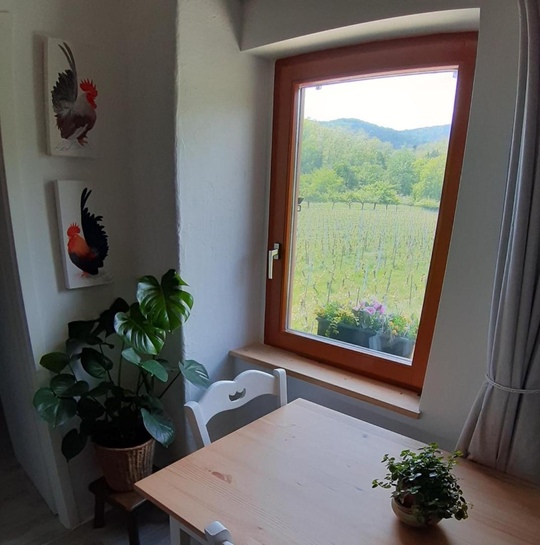 Dandelion Bed & Breakfast Ribeauvillé Exteriör bild